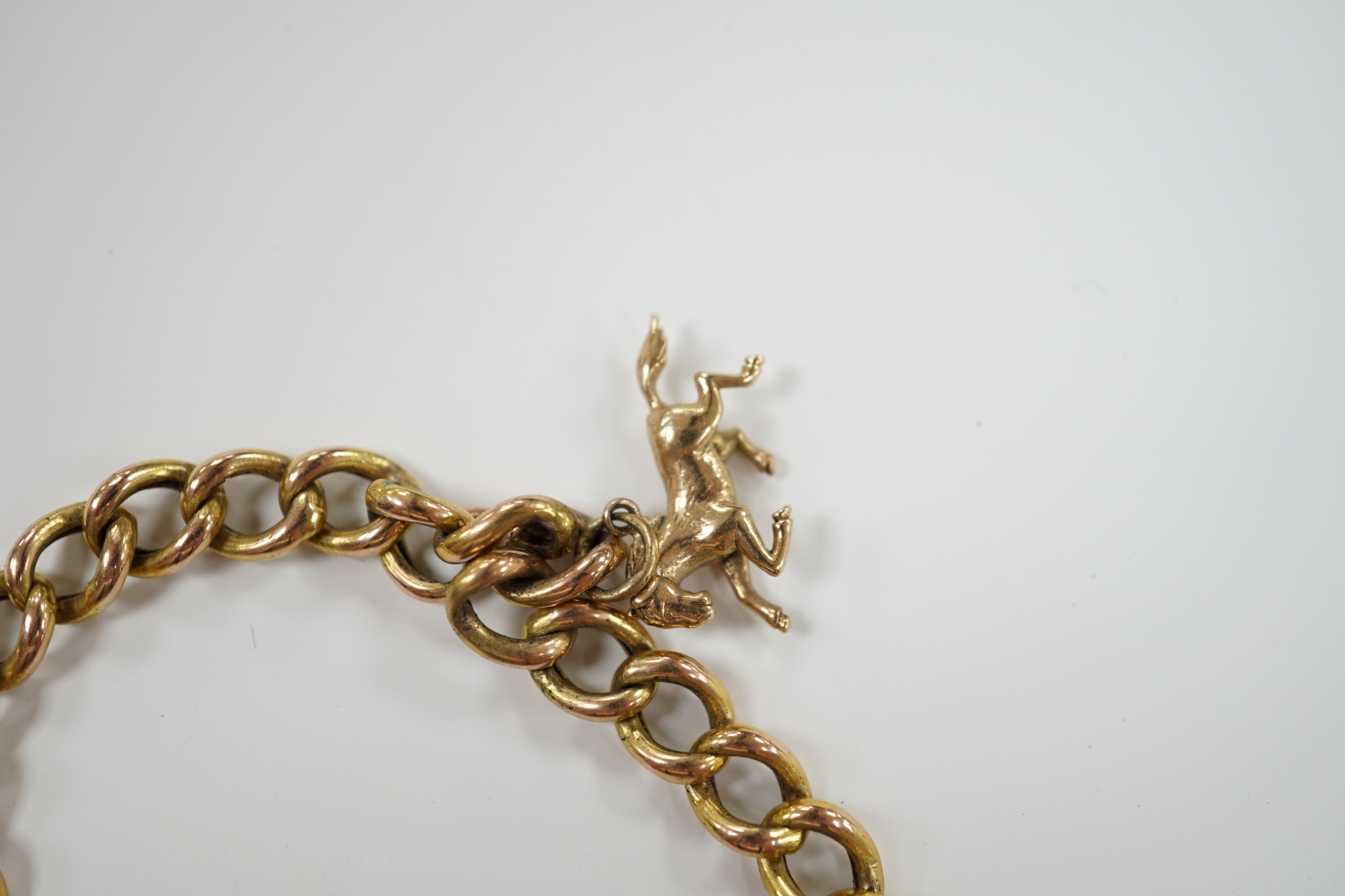 A yellow metal (stamped 9c) curb link bracelet, with heart shaped padlock clasp, hung with a 9ct gold horse charm, 13.9 grams.